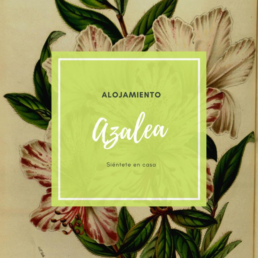 Atico Azalea - Corazon Del Carmen, Doble Balcon, Wifi Διαμέρισμα Μούρθια Εξωτερικό φωτογραφία